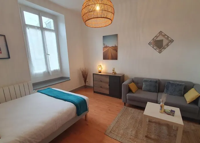 Bel Appartement En Centre-Ville Avec Terrasse